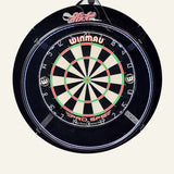 Shot dartboard LED light surround
